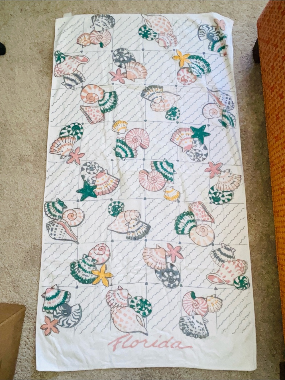 Vintage Florida Seashell Souvenir Beach Towel – Pastels & Grid Print